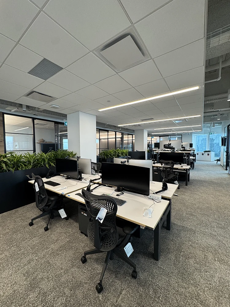 mcintyre-project-078